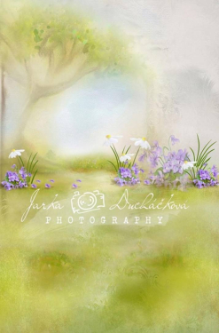 JD PHOTOGRAPHY  Fotopozadí - spojené 243