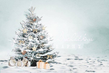 JD PHOTOGRAPHY  Fotopozadí - ZIMA 54