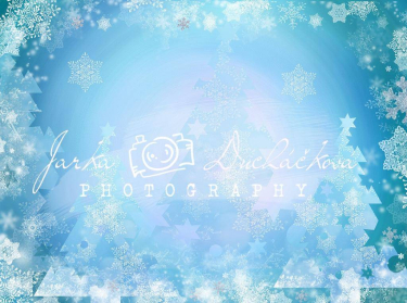 JD PHOTOGRAPHY  Fotopozadí - ZIMA 95