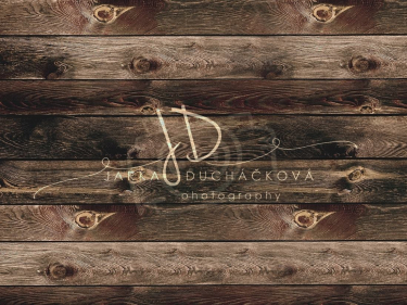 JD PHOTOGRAPHY  Fotopozadí - PODLAHA 459