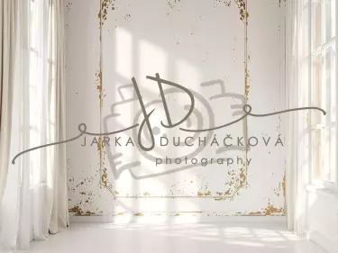 Fotopozadí - Stěna s okny 15