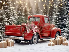Fotopozadí - WINTER CAR 15