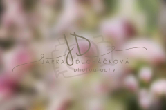 JD PHOTOGRAPHY  Fotopozadí - Květinový bokeh 10