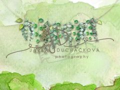 JD PHOTOGRAPHY  Fotopozadí - Jarní zeleň 8