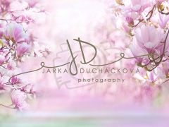 JD PHOTOGRAPHY   Fotopozadí - SPRING 8