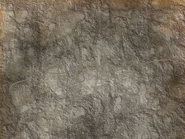 JD PHOTOGRAPHY  Fotopozadí - VINTAGE 84