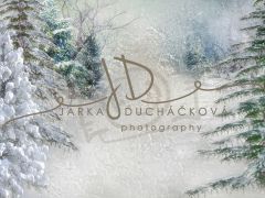 JD PHOTOGRAPHY  Fotopozadí - WINTER 75