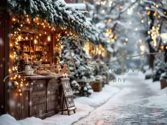Fotopozadí - Vánoční večerní venkovní scéna 16
