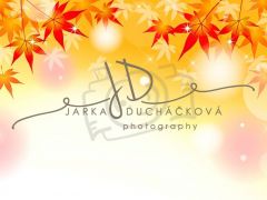 JD PHOTOGRAPHY  Fotopozadí - BAREVNÝ PODZIM 9