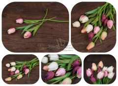 Tulipán růžový 1ks