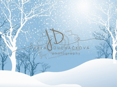 JD PHOTOGRAPHY  Fotopozadí - WINTER 30