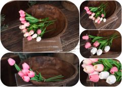 Tulipán sytě růžový 1ks
