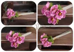 Květina anemone - svazek 2