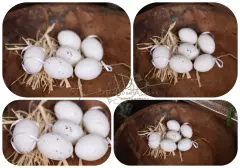 Vajíčka bílá 6ks
