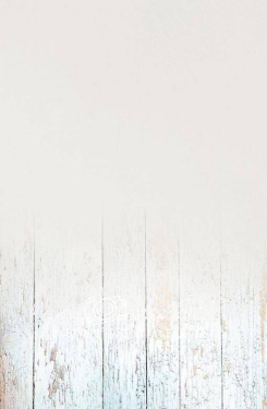 JD PHOTOGRAPHY  Fotopozadí - SPOJENÉ přechodové 11