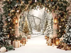 Fotopozadí - Brána v lese 17