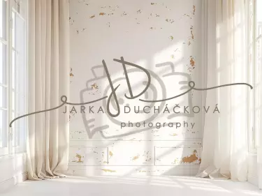 Fotopozadí - Stěna s okny 17