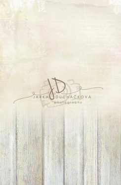 JD PHOTOGRAPHY  Fotopozadí - SPOJENÉ přechodové 50