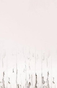 JD PHOTOGRAPHY  Fotopozadí - SPOJENÉ přechodové 10