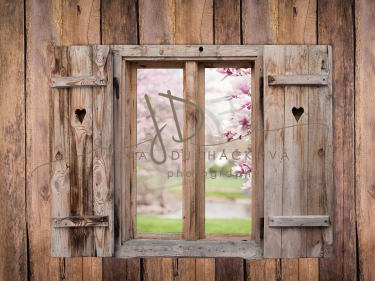 JD PHOTOGRAPHY   Fotopozadí DESIGN 761