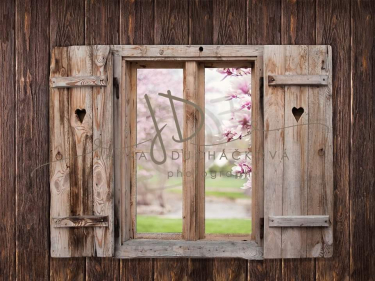 JD PHOTOGRAPHY   Fotopozadí DESIGN 762