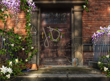 JD PHOTOGRAPHY  Fotopozadí - DESIGN 774