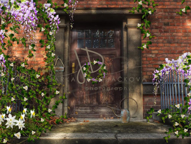 JD PHOTOGRAPHY  Fotopozadí - DESIGN 783