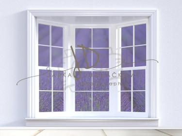 JD PHOTOGRAPHY  Fotopozadí - DESIGN 787