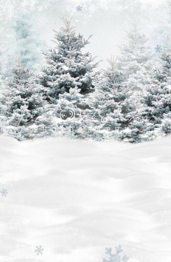 JD PHOTOGRAPHY  Fotopozadí - spojené - ADVENTNÍ KRAJINKA 11