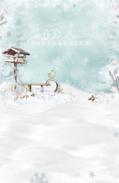 JD PHOTOGRAPHY  Fotopozadí - spojené - ADVENTNÍ KRAJINKA 7