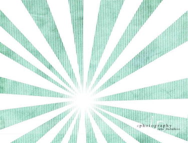 JD PHOTOGRAPHY  Fotopozadí - PAPRSKY 2