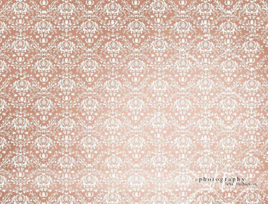 JD PHOTOGRAPHY  Fotopozadí - DAMAŠEK 55