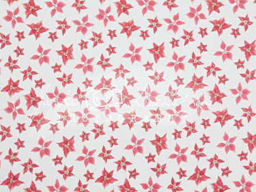 JD PHOTOGRAPHY  Fotopozadí - DESIGN 70