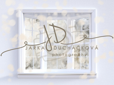 JD PHOTOGRAPHY  Vánoční fotopozadí - DESIGN 799