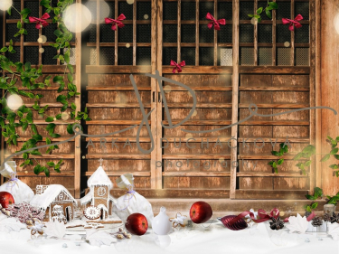JD PHOTOGRAPHY  Vánoční fotopozadí - DESIGN 803