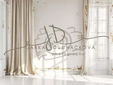 Fotopozadí - Stěna s okny 18