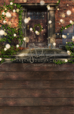 JD PHOTOGRAPHY  Vánoční fotopozadí - DESIGN spojený 784