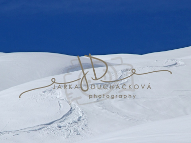 JD PHOTOGRAPHY  Fotopozadí - WINTER 35