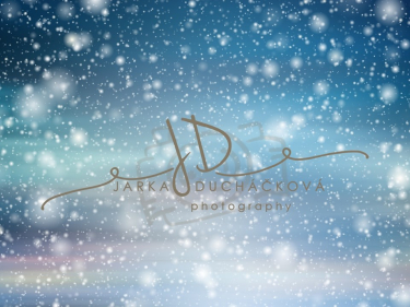 JD PHOTOGRAPHY  Fotopozadí - WINTER 46