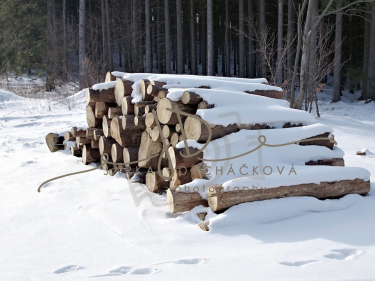 JD PHOTOGRAPHY  Fotopozadí - WINTER 49