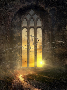 JD PHOTOGRAPHY  Fotopozadí - FANTASY 18