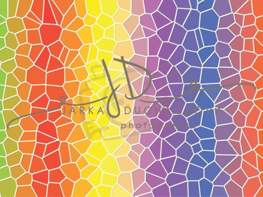 JD PHOTOGRAPHY  Fotopozadí - DUHOVKY 5