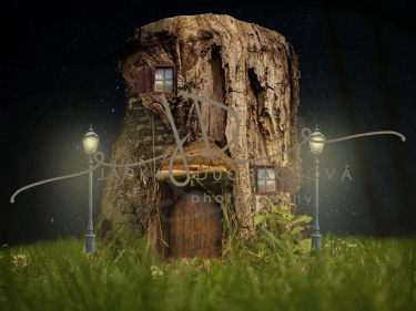 JD PHOTOGRAPHY  Fotopozadí - FANTASY 52