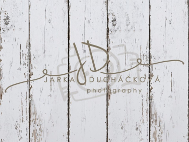 JD PHOTOGRAPHY  Fotopozadí - PODLAHA 539
