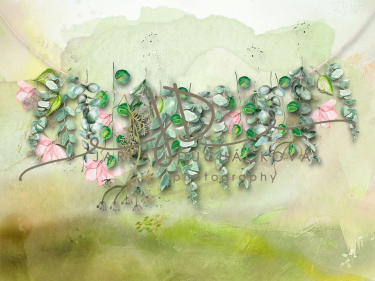 JD PHOTOGRAPHY   Fotopozadí - Jarní zeleň 1