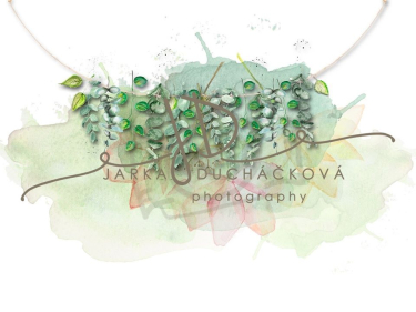 JD PHOTOGRAPHY  Fotopozadí - Jarní zeleň 6