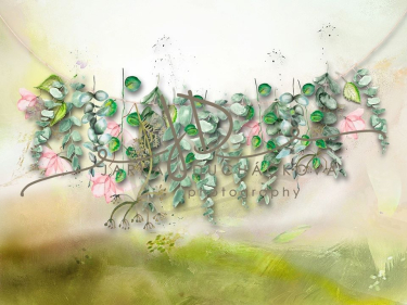 JD PHOTOGRAPHY  Fotopozadí - Jarní zeleň 7 