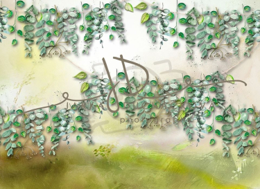 JD PHOTOGRAPHY  Fotopozadí - Jarní zeleň 10 