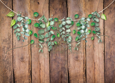 JD PHOTOGRAPHY  Fotopozadí - Jarní zeleň 11