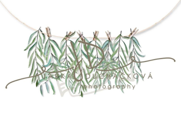 JD PHOTOGRAPHY  Fotopozadí - Jarní zeleň 23